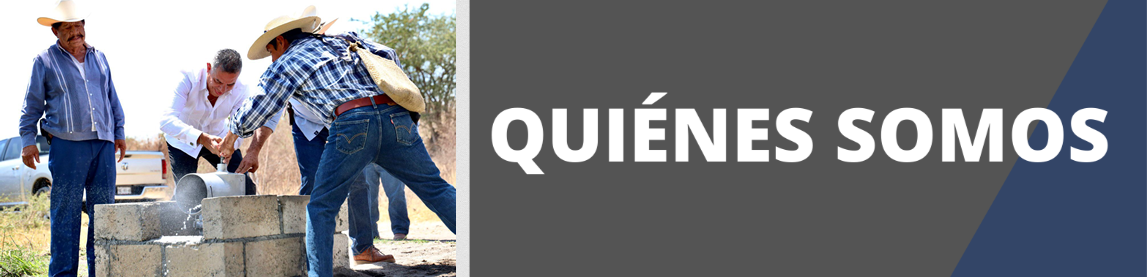 qsomos
